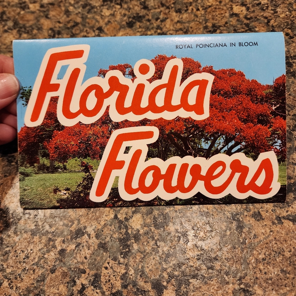 Postcard Set, Vintage, Florida Flowers